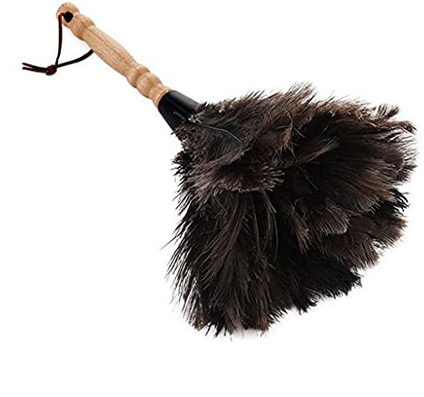 Spolverino con piume di struzzo e manico in legno massello, per lavori domestici