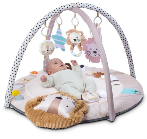 Tippi Sensory Baby Play Gym & Super Soft Plush Play Mat for Babies