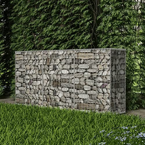 WIFESE Panier de Gabion Acier Galvanisé 200x50x100 cm Argenté Lit Surélevé à Gabion Parterre de Légumes Plantes Surélevé Mur de Soutènement Cage de Gabion Durable Cadre à Gabion