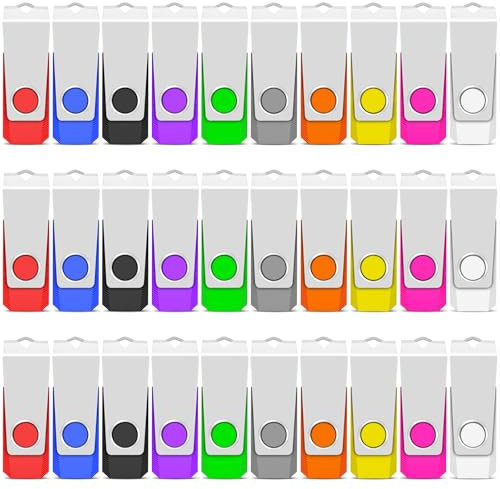 TEWENE USB Memory Stick 2GB USB Stick 2.0 Flash Drive 100-Pack,Thumb Drive Pen Drive,Usb Storage with Key Ring and Sticker