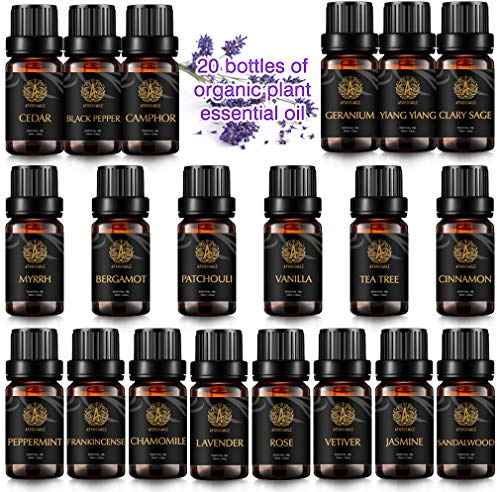 Top 20 tipi Aromaterapia incenso olio essenziale Set per diffusore, 100% Pure olio essenziale kit per Humidifier-albero del tè, mirra, ylang ylang, geranio, canfora, rosa, cedro...Olio Essenziale Set