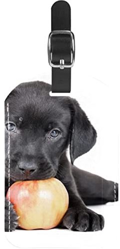 Gepäckanhänger,2er-Pack Etiketten,Kofferanhänger,Labrador-Hundewelpe,Gepäckanhänger Sichtschutz Reisetasche