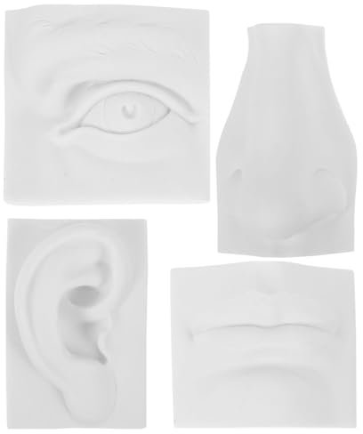 HOODANCOS 1set Modelli Gesso per Schizzo delle Caratteristiche Facciali Statua Didattica per Pratica di Disegno per Arte e Decorazione Casa