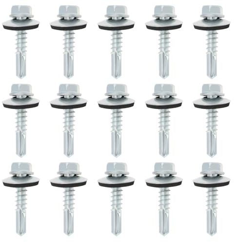 ECSiNG 100 viti esagonali M5,5 x 25 mm per tetto, con guarnizione di tenuta in gomma, viti per tetto in acciaio al carbonio zincato, per pannelli ondulati