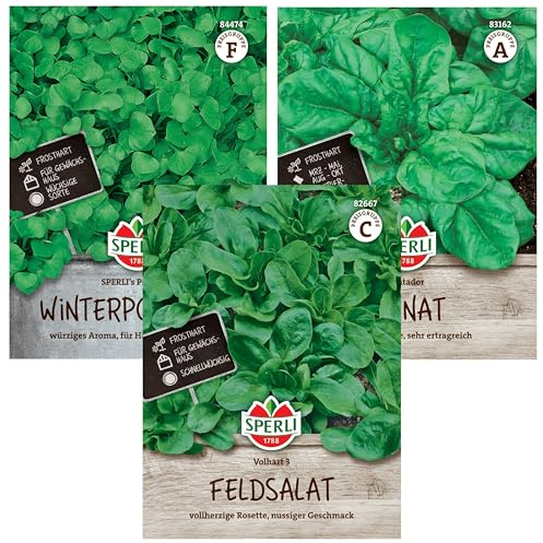 Wintergemüse Set | 3 Bewährte Sorten | Extra Frosthart | Feldsalat Samen Winterhart | Schnellwachsend | Spinat Winterhart | Ertragreich | Winterportulak Samen | Wintersalat