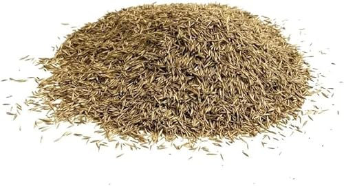 Shady Area Lawn 1Kg Seed Grass Shade ( Covers 25 Square metres ) LGH