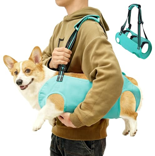 Aide au transport pour chien de taille - Harnais de transport réglable avec poignée amovible - Harnais de transport pour chien - Escalier pour chiens âgés handicapés et blessés (vert menthe, L)