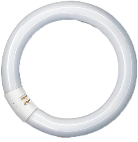 NL-T9 22W/840C/G10Q RADIUM 31218361