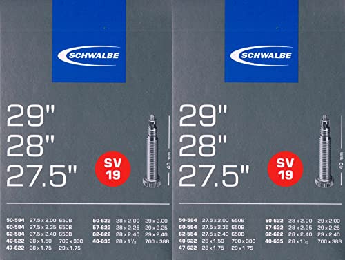 Schwalbe SV 19 Tubo 29 622 Valvola: Francese Sclaverand SV19 29 pollici
