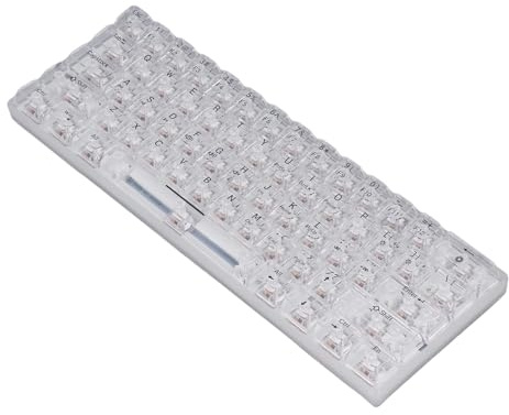 BONKZEBU Clear Keycap Wired Gaming Keyboard 61 Keys Transparent Mechanical Keyboard Long Lasting for Office, Stylish Design