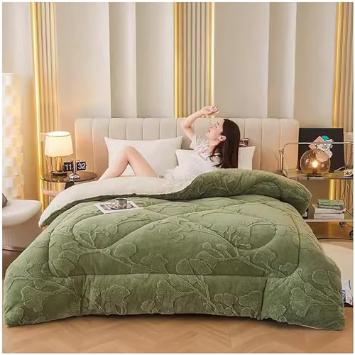 GOFOHIMI Edredón Algodón Invierno, Nórdico Cálido Núcleo, Terciopelo Y Borreguillo De Cálido Edredón De Invierno, Grueso Manta De Peluche Extra Suaves y Esponjosas para Sofá, Cama,D,150x200cm(2kg)
