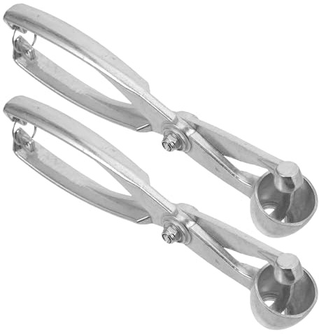 Toyvian 2pièces Dénoyauteur pour Cerises Rouges et Jujubes Outil de Cuisine Manuel pour Vider Fruits Accessoire Pratique pour Dattes et Olives Lot