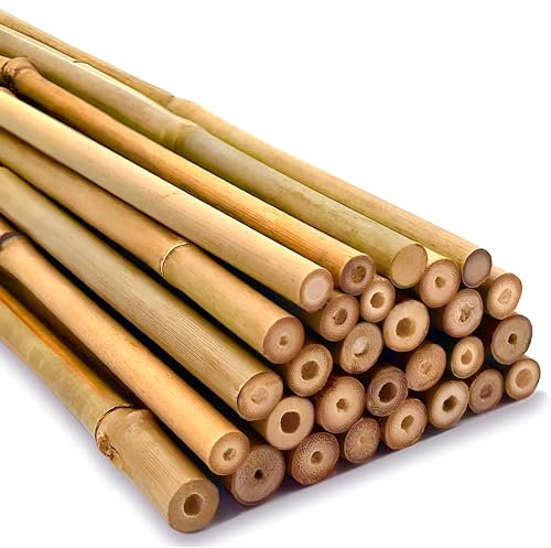 Strong Heavy Duty Professional Bamboo Canes for Plant Support - Multiple Lengths 2ft - 8ft Garden Stakes, Durable Large Garden Canes Sturdy & Natural Bamboo Sticks for Plants Size (2ft, 10, 10-12mm)