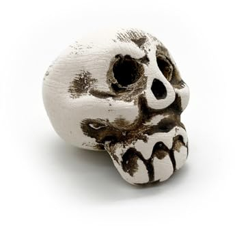 ZooPaul Keramik Deko Dekoration Aquarium Terrarium Totenkopf Schädel Skull klein Optimal für Nano Becken
