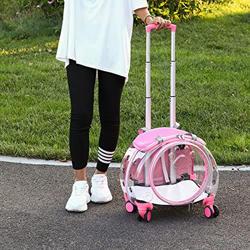 Katzentrage mit Rädern – Haustier-Katzentrage-Rucksäcke mit 1 Matte und Teleskopgriff, frei atmungsaktive Reise-Hundetrage, von Fluggesellschaften zugelassene Outdoor-Katzenbox für kleine und mit