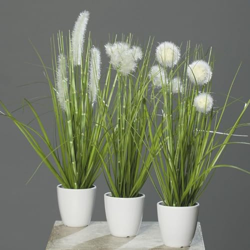 Home-Out Kunstplfanze Ziergras im weißen Topf, 3er-Set, Höhe 38 cm, Grün/Creme, künstliche Graspflanzen Kunstgras für Tischdekoration