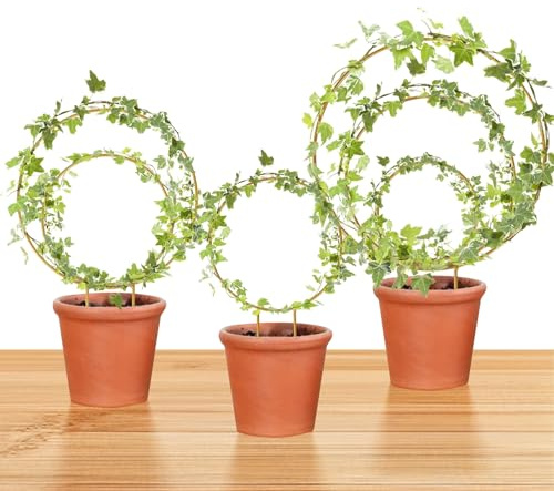 Hoya Treillis en métal de 3 tailles pour plantes d'intérieur, piquets ronds ou en forme de cœur pour plantes grimpantes en pot (doré)