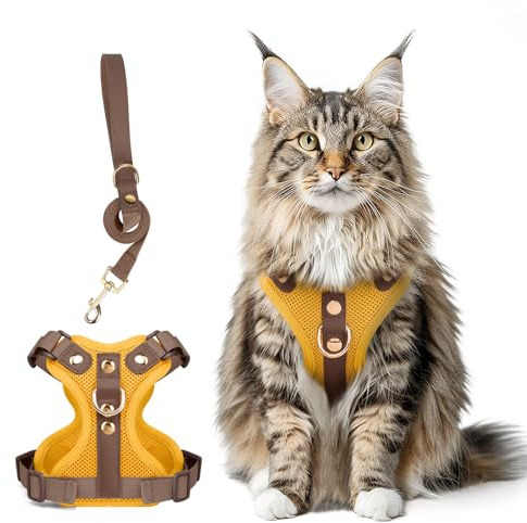 Ausbruchsicheres Katzen Geschirr & Leine Set, Verstellbares Reflektierendes Geschirr mit Atmungsaktivem Mesh und Hochwertigem Leder für Katzen & Kätzchen (Gelb, XL)