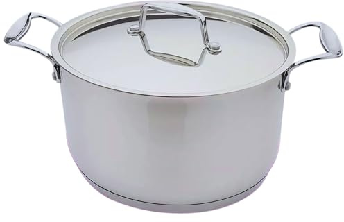 Reldor Stainless Steel Stock Pot with Lid, Large Cooking Pot Deep Casserole Kitchen Cookware, Induction Compatible, Ideal for Cooking, Soup, Stew, and Pasta (20 cm)