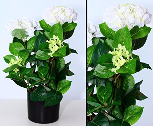 Kunstblumen Hortensien im Topf 50cm hoch mit weiß/Creme farbenen Blüten - Kunstpflanze künstliche Blumen Kunstblumen Blumensträuße künstlich, Seidenblumen oder Blumen aus Plastik Kunststoff