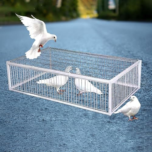 REBOTZ Trampa para pájaros, Jaula Trampa para pájaros, Colector de Trampa, Puerta de gallinero de 40/60/70/90/100 cm para Palomas de Carreras, Palomas, Loros, pájaros, Puerta de Ventana, Suministros d