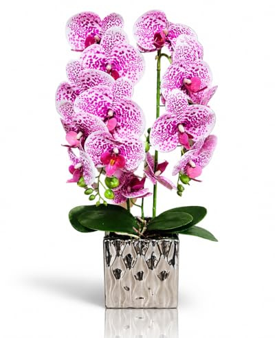 PASCH® Orchidee artificiali in vaso di ceramica di design, fiori artificiali in vaso, fiori artificiali come veri, orchidee artificiali in vaso, fiori artificiali in vaso (cassis arlecchino (55 cm)