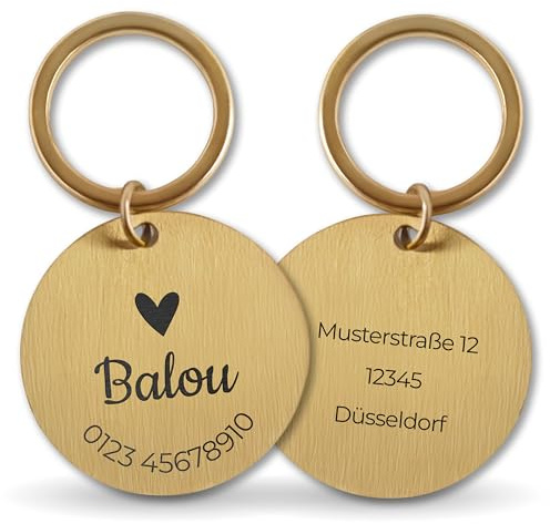 LAUBLUST Personalisierte Hundemarke mit Gravur für Halsband - Rund, Golden, Edelstahl | Größen S, M, L - Personalisiertes Geschenk für Hunde & Hundebesitzer mit Name als Hundezubehör, inkl Geschenkbox
