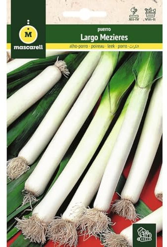 Mascarell Semillas, PUERRO, Semillas Huerto, PUERRO LARGO MEZIERES, Crea tu Propio Huerto Urbano y Cultivo en Casa, Plantas Hortícolas, 4 Gramos