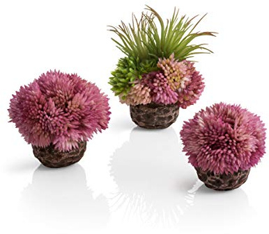 biOrb 73540 Korallenball-Set lila, 8 x 8 x 9 cm - Aquarien-Dekoration, Deko-Element für Aquarium, naturnahe Aquarienpflanze