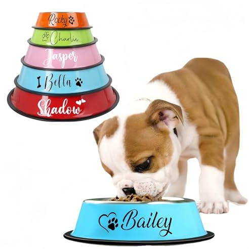 Personalised Stainless Steel Dog Bowl with Anti Skid Silicone, Custom Name Water and Food Bowls For Pets, Suitable for Small/Medium/Large Dogs Cats, Colorful Design(XS:15cm)