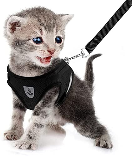 FEimaX Imbracatura e Guinzagli Set per Cani, Pettorina Imbottita a Morbida per Cuccioli e Gatti, Imbracature di Traspiranti Regolabili Riflettenti per Camminare, Corsa, Allenamento