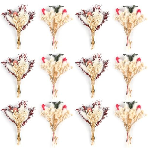 Larber 12 Stück Mini Getrocknete Blumenstrauß Mini Trockenblumenstrauß Trockenblumenstrauß Klein Boho für Fotografie Fotorahmen Wohnkultur Hochzeiten Parteien und Andere Gelegenheiten Dekor