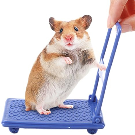 Carrello per Criceti Carrello Interattivo con Ruote | per Gabbia Criceti Bambini Casetta Animali Domestici Foto Prospettiche