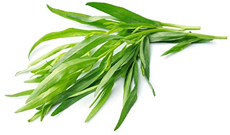 Tarragon Herb Seeds,100 Count COOL BEANS N SPROUTS Brand. Herb. Non-GMO. Home Gardening.