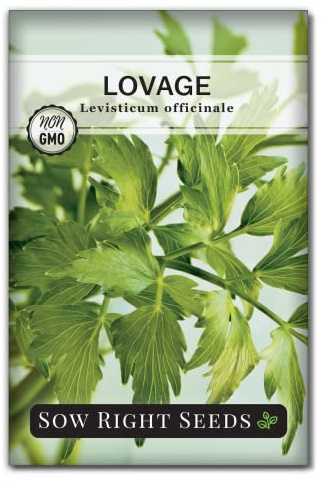 Sow Right Seeds - Lovage Seed for Planting Outdoor Perennial Vegetable
