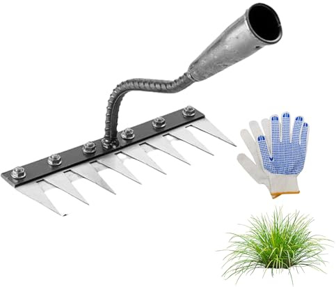 Rack in ferro 2,0, rastrello in ferro per giardinaggio e diserbo, Hochleistungs-Kohlenstoffstahl-Entgitterrechen con 5/6/7 / 8 denti, strumento professionale per diserbo da giardino (8 Teeth)
