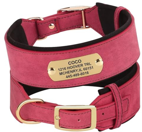 PET ARTIST gepolstertes Leder Hundehalsband mit Namensschild für mittlere große Hunde und rotes Hundehalsband personalisiert mit Name, Telefon und Adresse