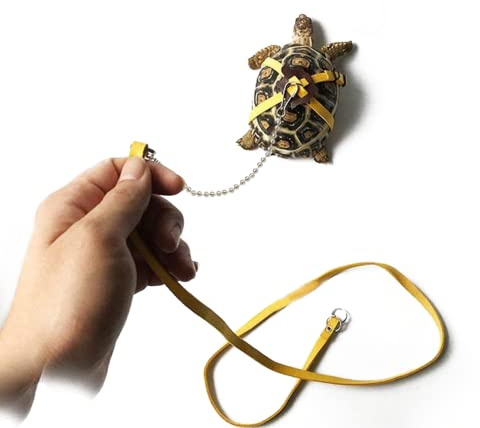 Casiler Ledergurtgurt Für Schildkröte Verstellbares Kleines Haustierkabelbaum Reptilien Leine Schildkröte Leinen Haustier Walking Blei