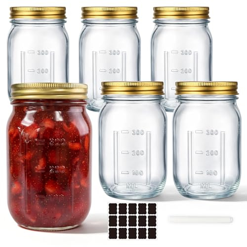 WERTIOO 6 Stück 480ml Einmachgläser - Mason Jar Gläser mit Skala