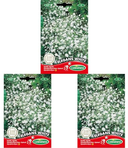 Germisem Elegans White Semillas de Gypsophila 1.5 g (EC1527) (Paquete de 3)
