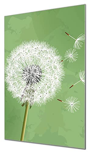 banjado Magnettafel aus Glas 40x60, Blumenmotiv, beschreibbar | Florale Glas-Pinnwand für Notizen und Fotos, mit Motiv Pusteblume 3 aus der Pflanzenwelt