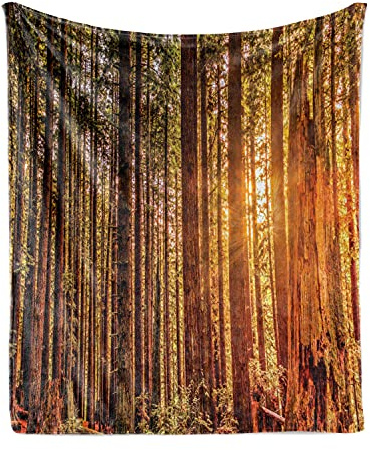 ABAKUHAUS United States Throw Blanket, Tall Trees Red Woods Forest Humboldt California Sequoia Picture, Flannel Fleece Accent Piece Soft Couch Cover for Adults, 50 x 70, Orange Dark Brown Green