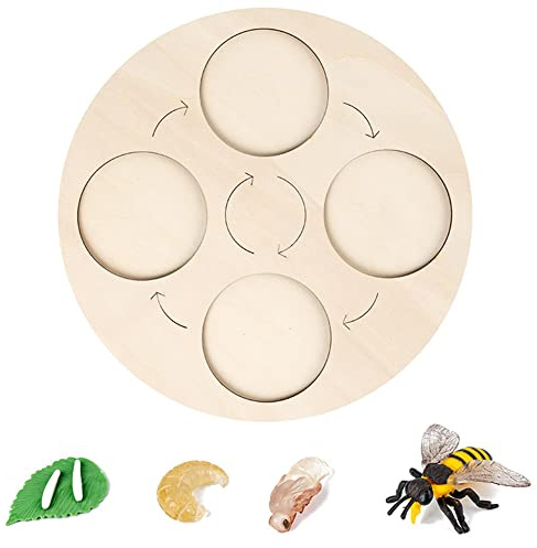 Katutude Montessori Lebenszyklus Brett Holzspielzeug, Lebenszyklus Insekten Spielzeug Kunststoff Tierfiguren Pädagogische Lernspielzeug Geschenke für Kinder Jungen Mädchen