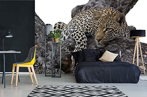 Vlies Fototapete LEOPARD AUF EINEM BAUM 375 x 250 cm (inkl. Kleister) - Vlies Tapete, Wandtapete, Wandbilder - Tapete für Wohnzimmer Schlafzimmer, Büro, Küche - Montagefertig