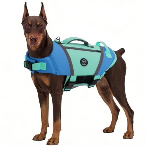 EMUST Dog Life Jackets, Durable Dog Life Jackets for Swimming, Boating with High Visibility, Stylish Dog Swimsuit with D-Ring for Dog Leash for Swimming, Boating, Kayaking, Blue, XL