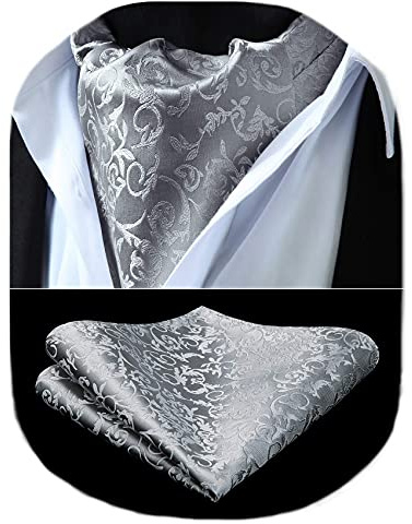 HISDERN Kravatter och herrnäsduk Paisley blommig kravatt bröllopsfest affärer avslappnad Ascot slips och ficknäsduks set, SILVER, en storlek