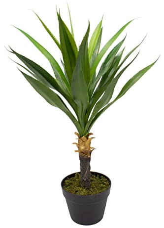 mucplants künstliche Yucca 75cm Kunstpalmen künstliche Palme Palmlilien Yuccapalme Dekopalme