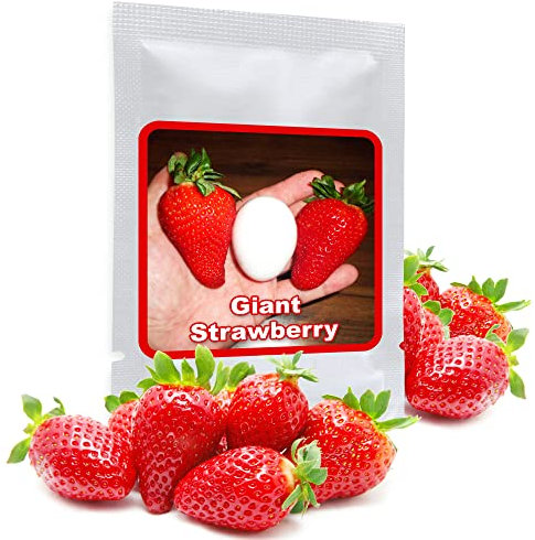 Giant Strawberry Seeds ca.100 pcs I Big Red Strawberry I Organic Seeds Garden