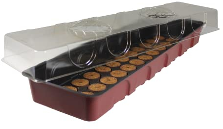 Windhager Zimmer-Gewächshaus, Fensterbank-Treibhaus inklusiv 36 Quelltabs, terracotta / anthrazit, 16,5 x 54,4 x 12 cm, 06841