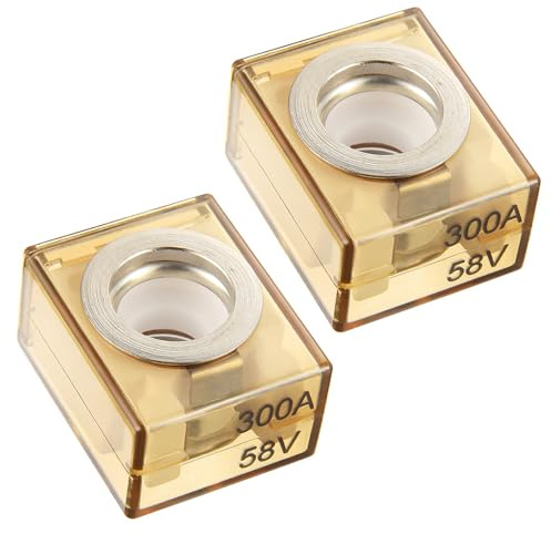 BOJACK Säkerhet 300A Marinbatterisäkring (MRBF) 58V DC för lastbilsbatteri, husbil, båt, bil (2 st)